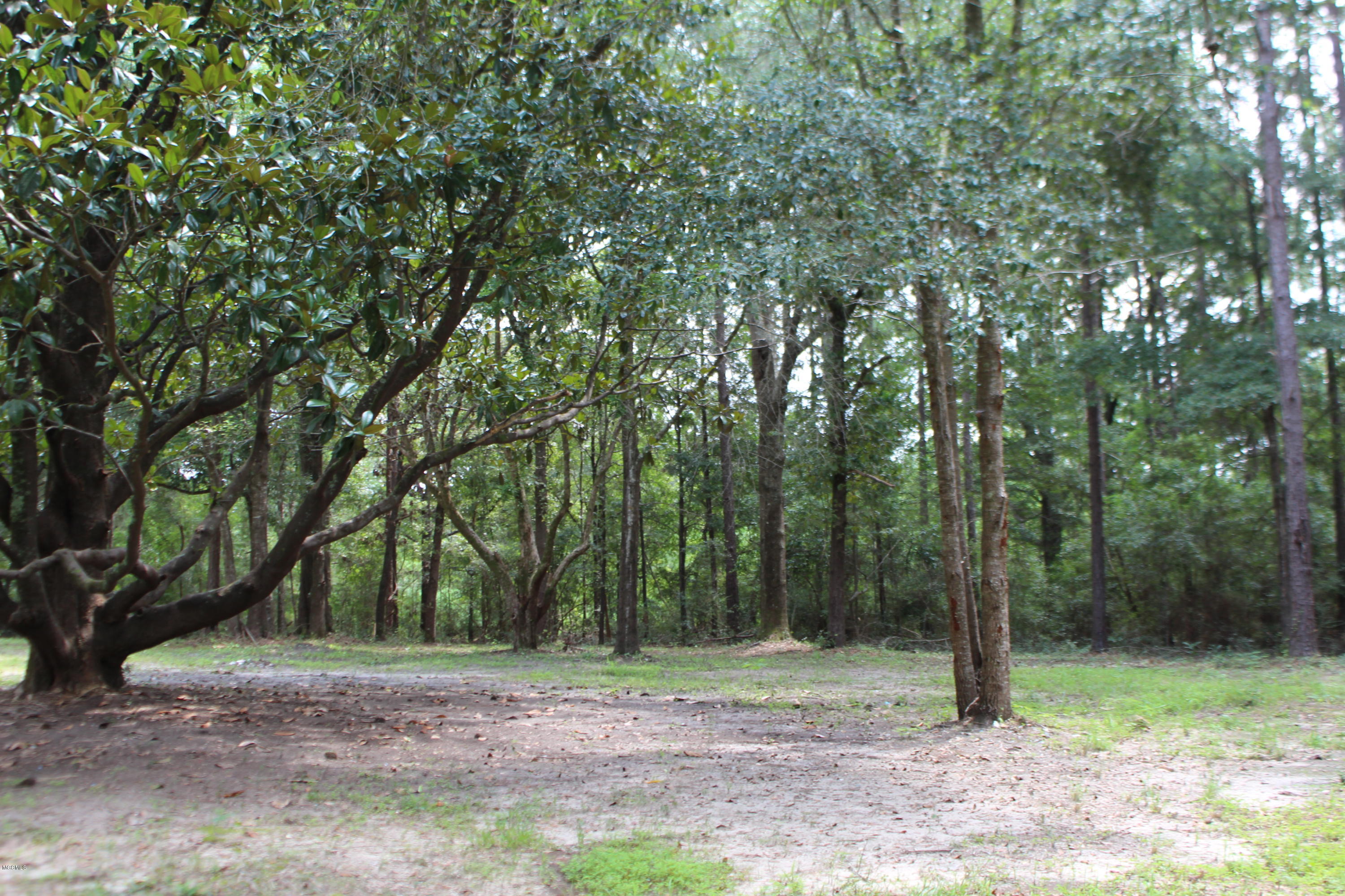 1.39-acres Inland Beach Road Lucedale, MS 39452 - Photo 5 of 11 IMG_4366