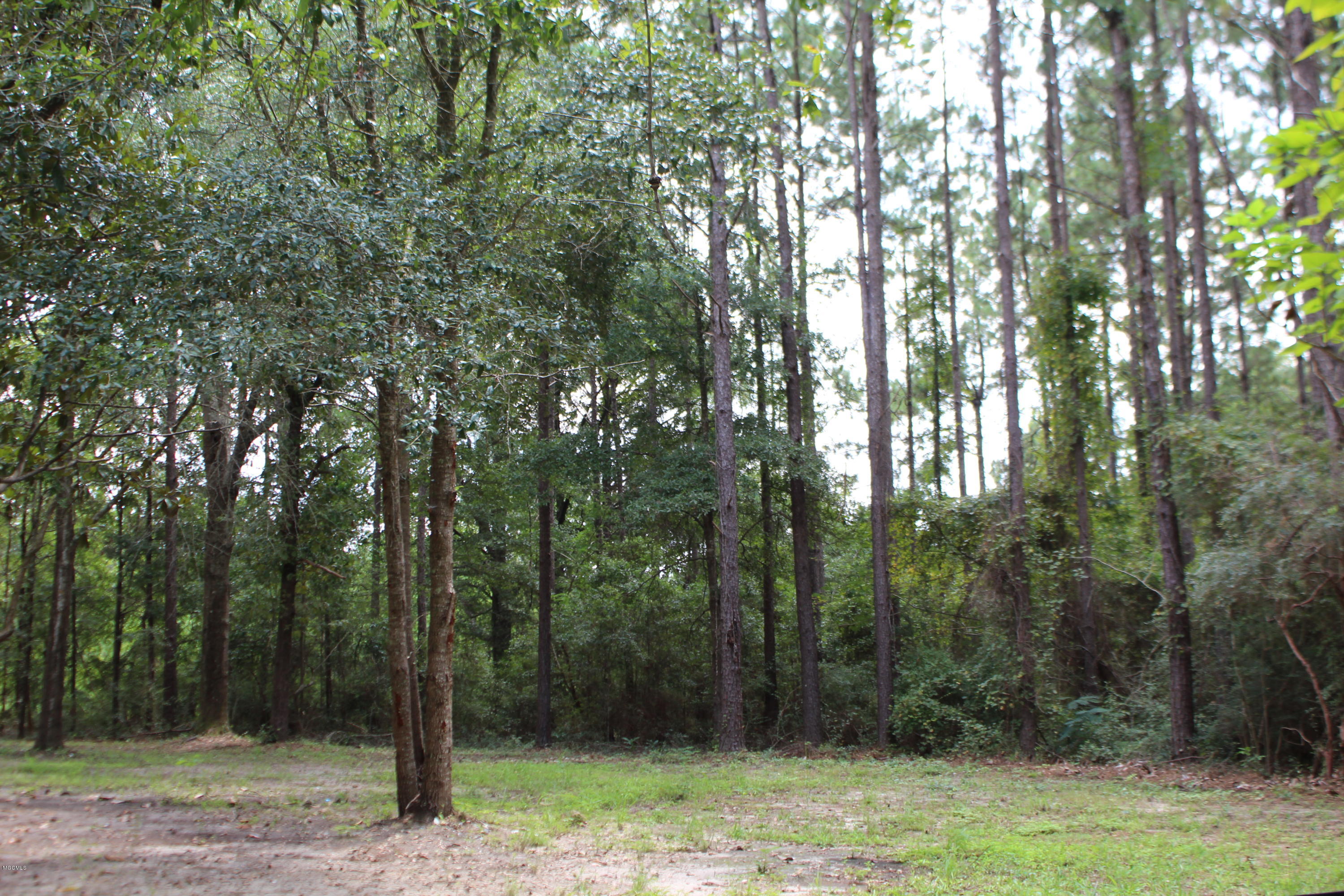 1.39-acres Inland Beach Road Lucedale, MS 39452 - Photo 6 of 11 IMG_4367