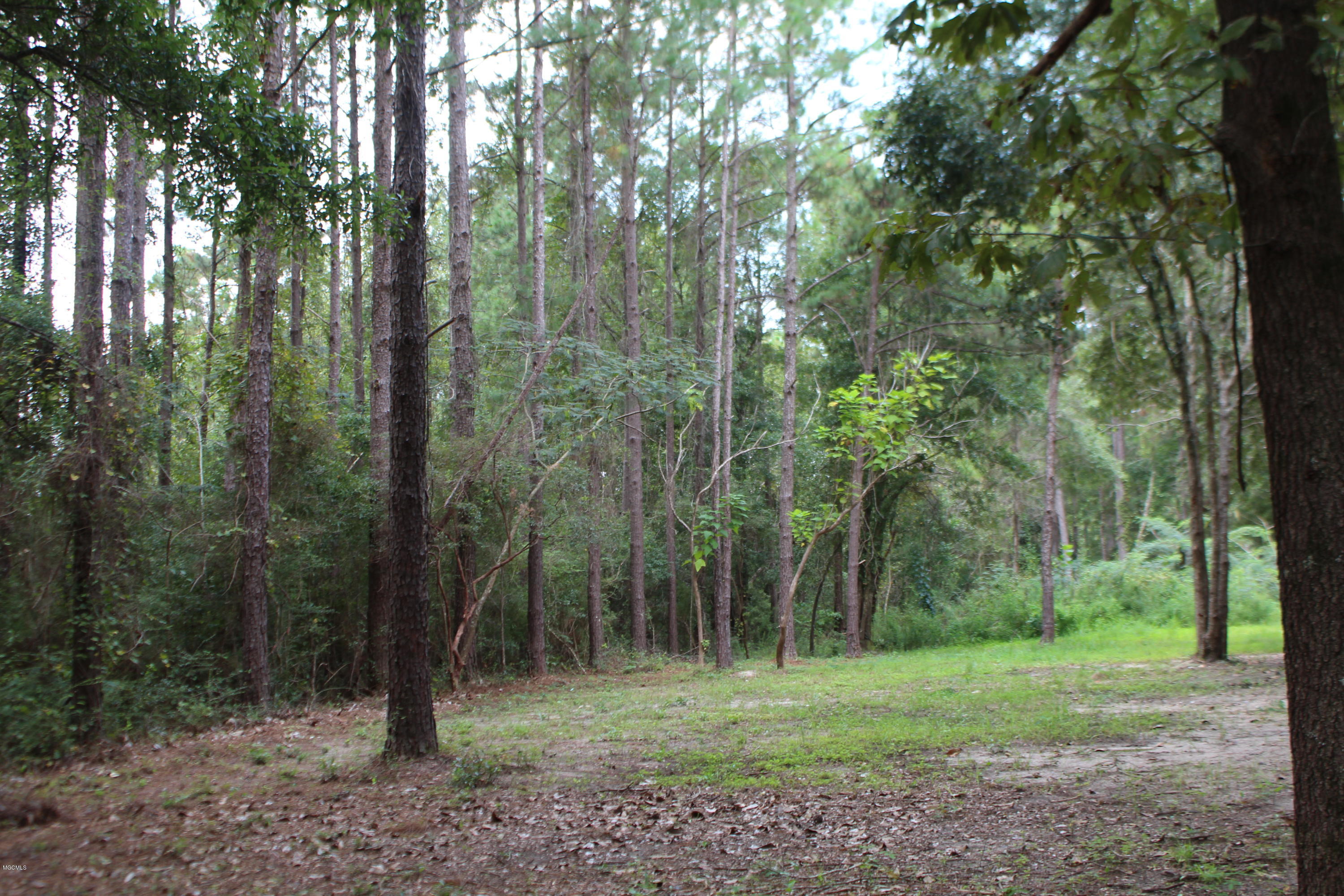 1.39-acres Inland Beach Road Lucedale, MS 39452 - Photo 7 of 11 IMG_4368