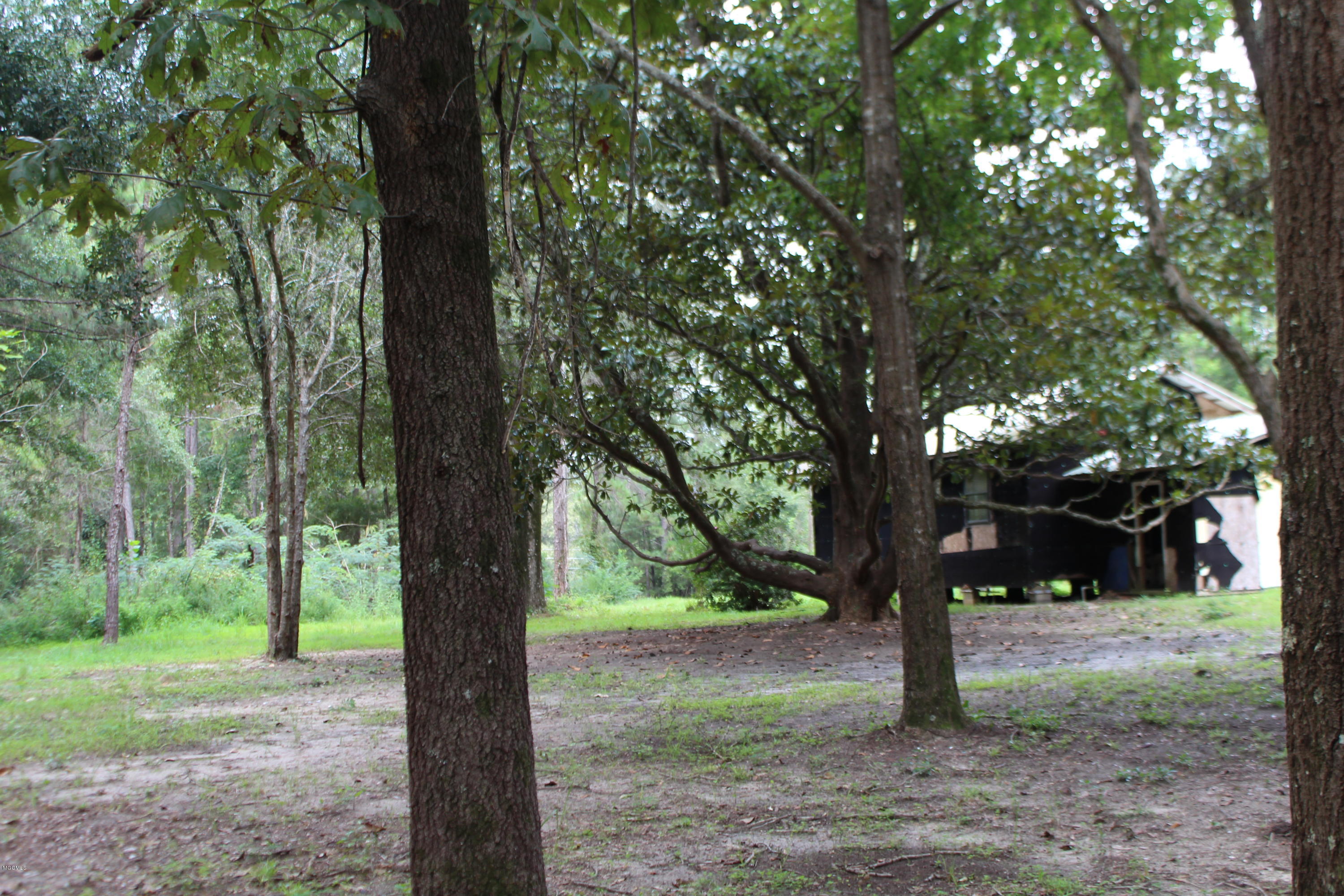 1.39-acres Inland Beach Road Lucedale, MS 39452 - Photo 8 of 11 IMG_4369