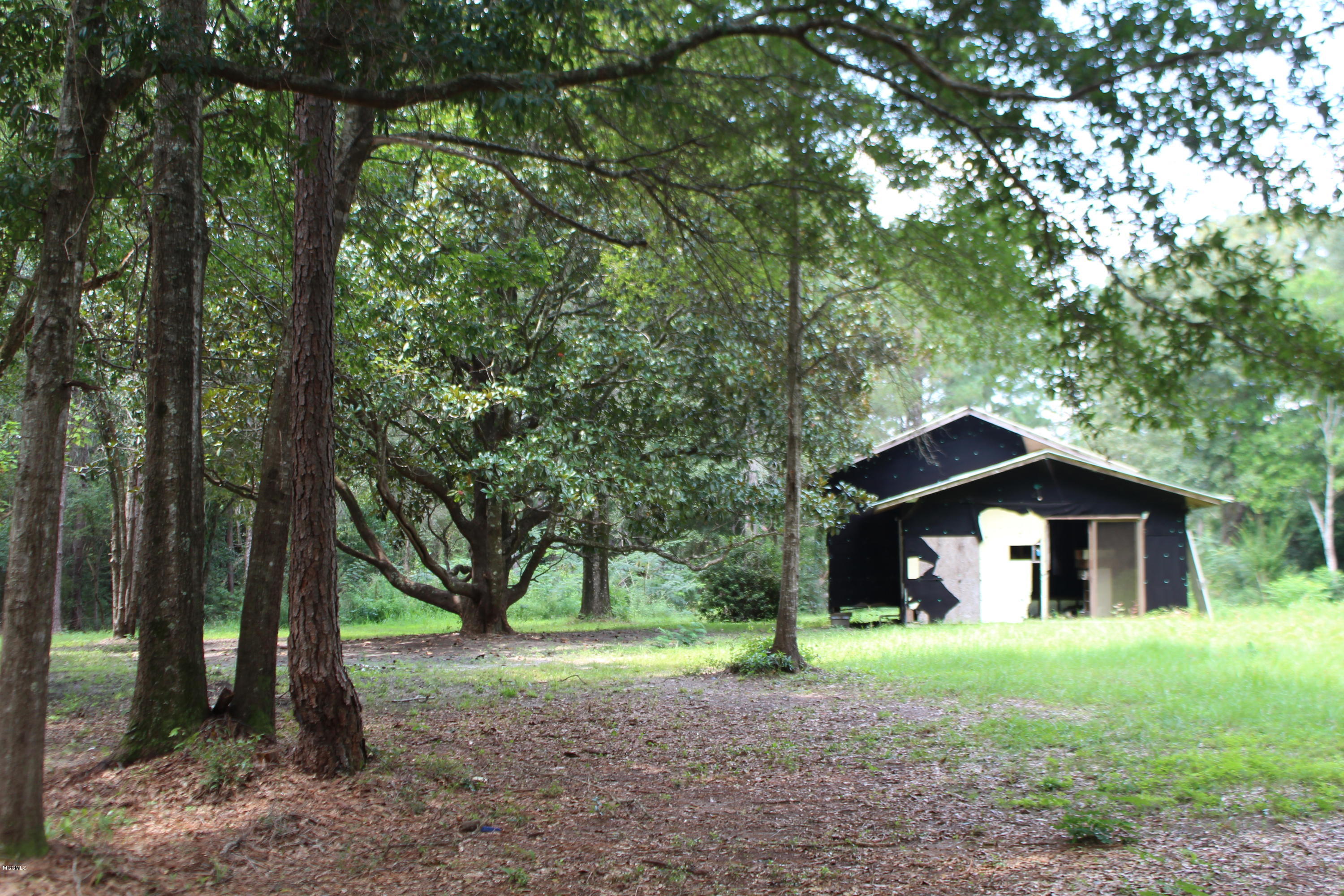 1.39-acres Inland Beach Road Lucedale, MS 39452 - Photo 10 of 11 IMG_4371