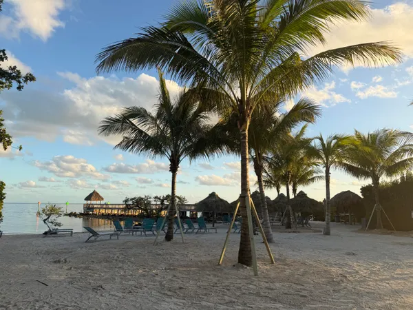 a view of outdoor space with palm trees