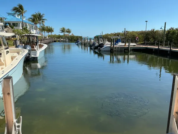 a view of a lake with boats and trees in the background