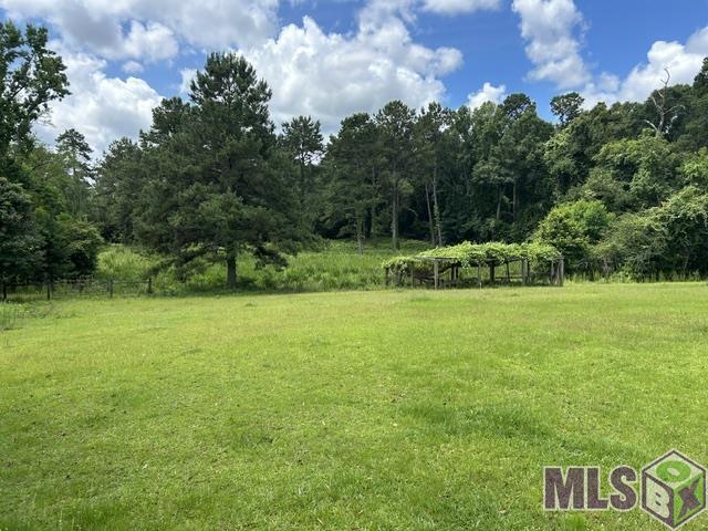 74209 Wyndotte Road Kentwood, LA 70444 - Photo 3 of 31