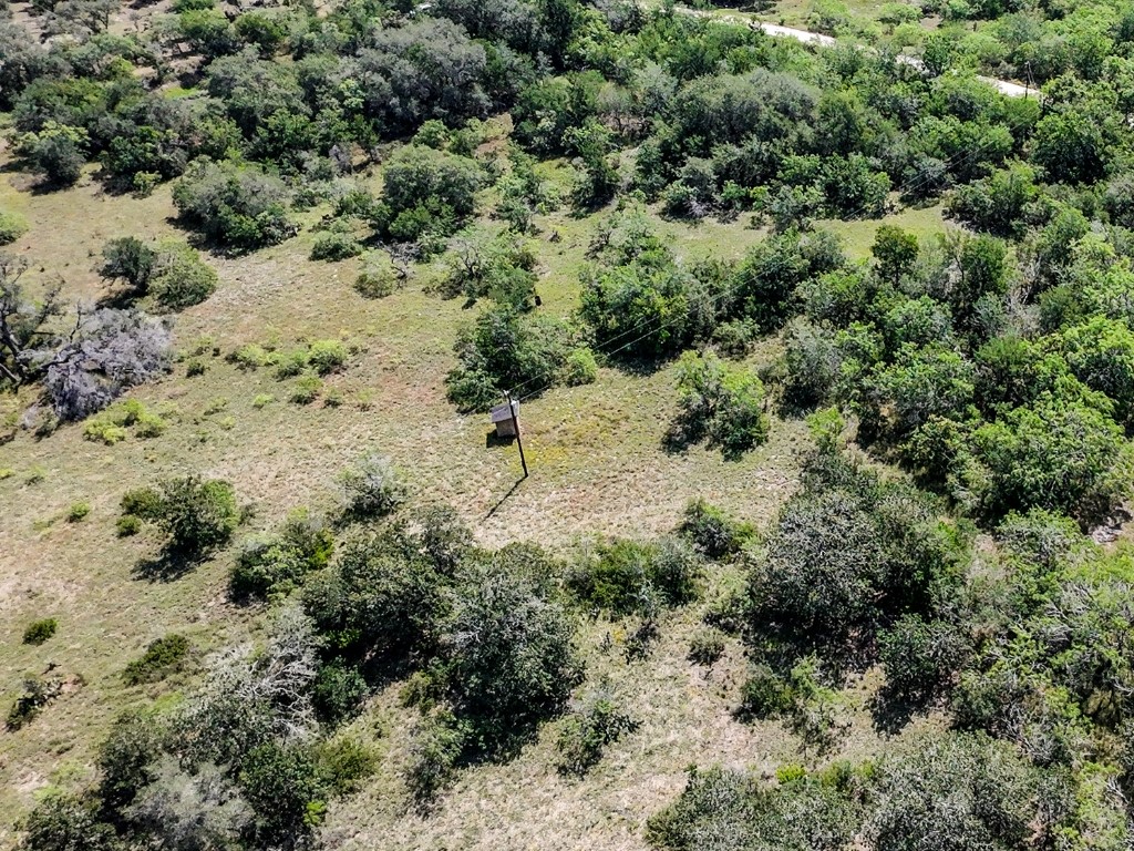 502 Robertson Road Smiley, TX 78159 - Photo 12 of 27 a view of a forest with a tree