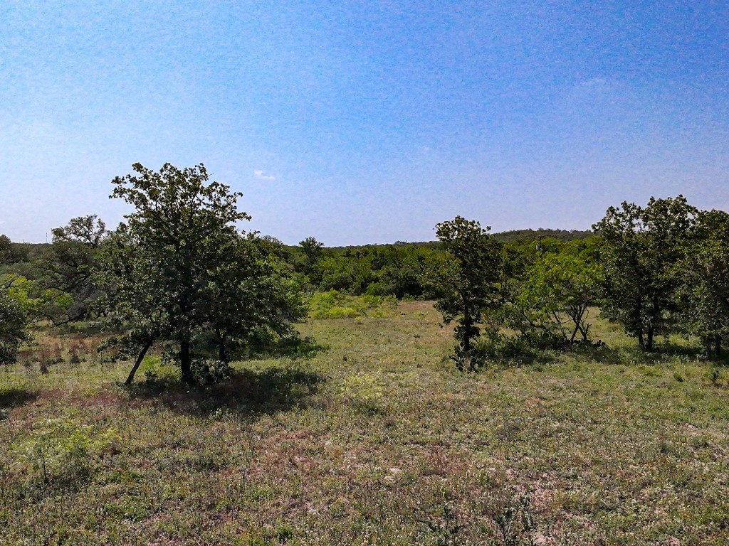 502 Robertson Road Smiley, TX 78159 - Photo 18 of 27 a view of a field with a tree in the background