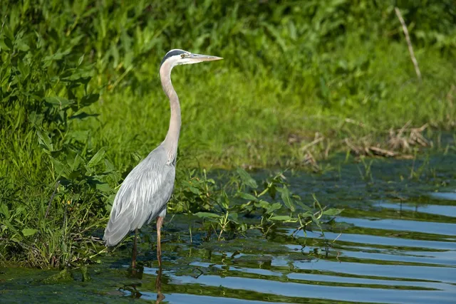 $499,000 | 570 Lapan Road, St. Albans Town, VT 05488