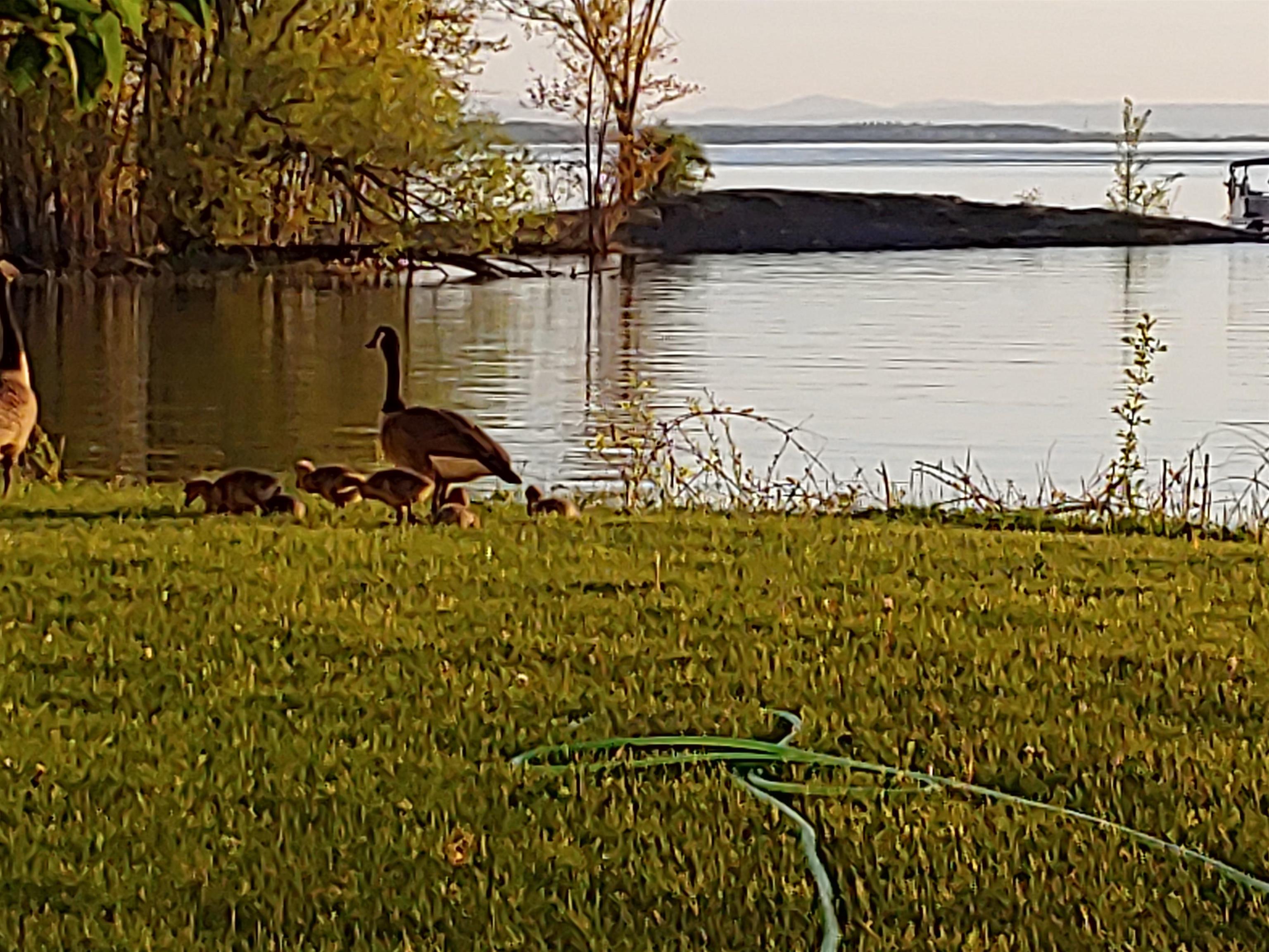 570 Lapan Road St. Albans Town, VT 05488 - Photo 30 of 38