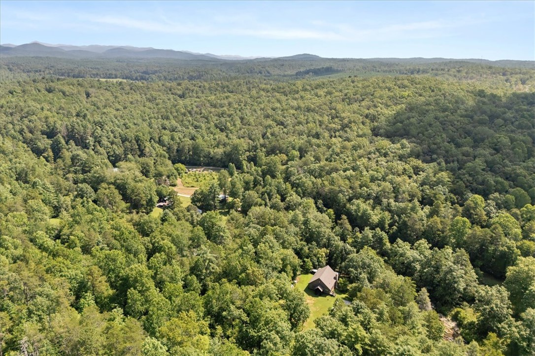 237 Hickory Ridge Mountain Rest, SC 29664 - Photo 36 of 38
