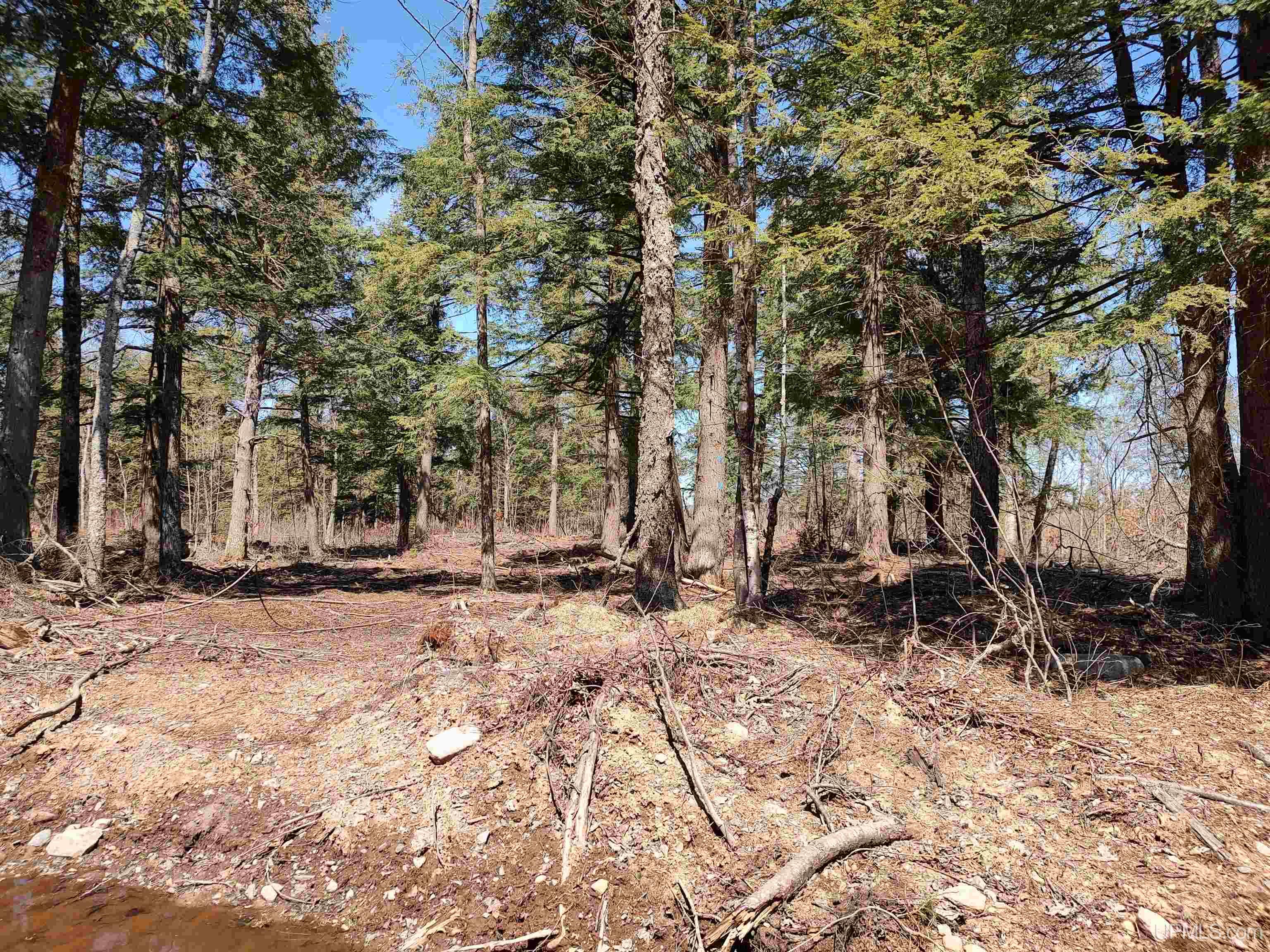 Tbd Black Creek Road Skanee, MI 49962 - Photo 2 of 13
