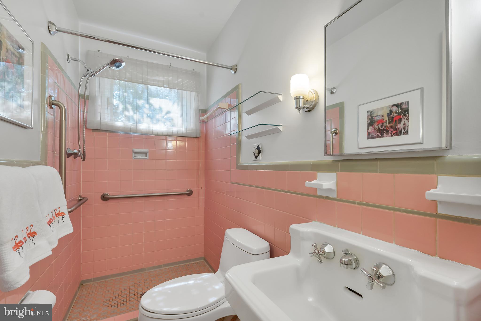 5523 Trent Street Chevy Chase, MD 20815 - Photo 15 of 42 Primary Bathroom