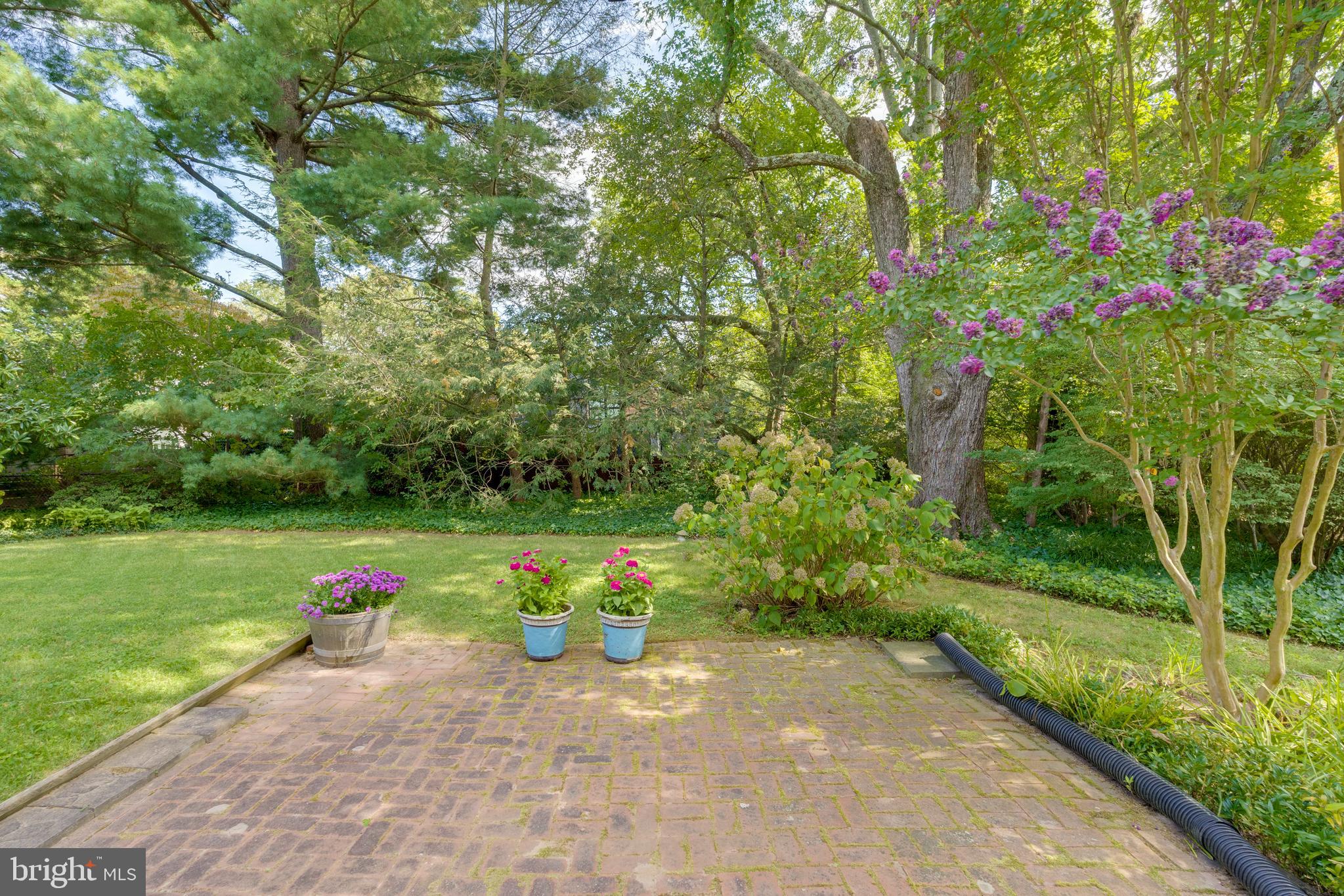 5523 Trent Street Chevy Chase, MD 20815 - Photo 37 of 42 Lush Backyard