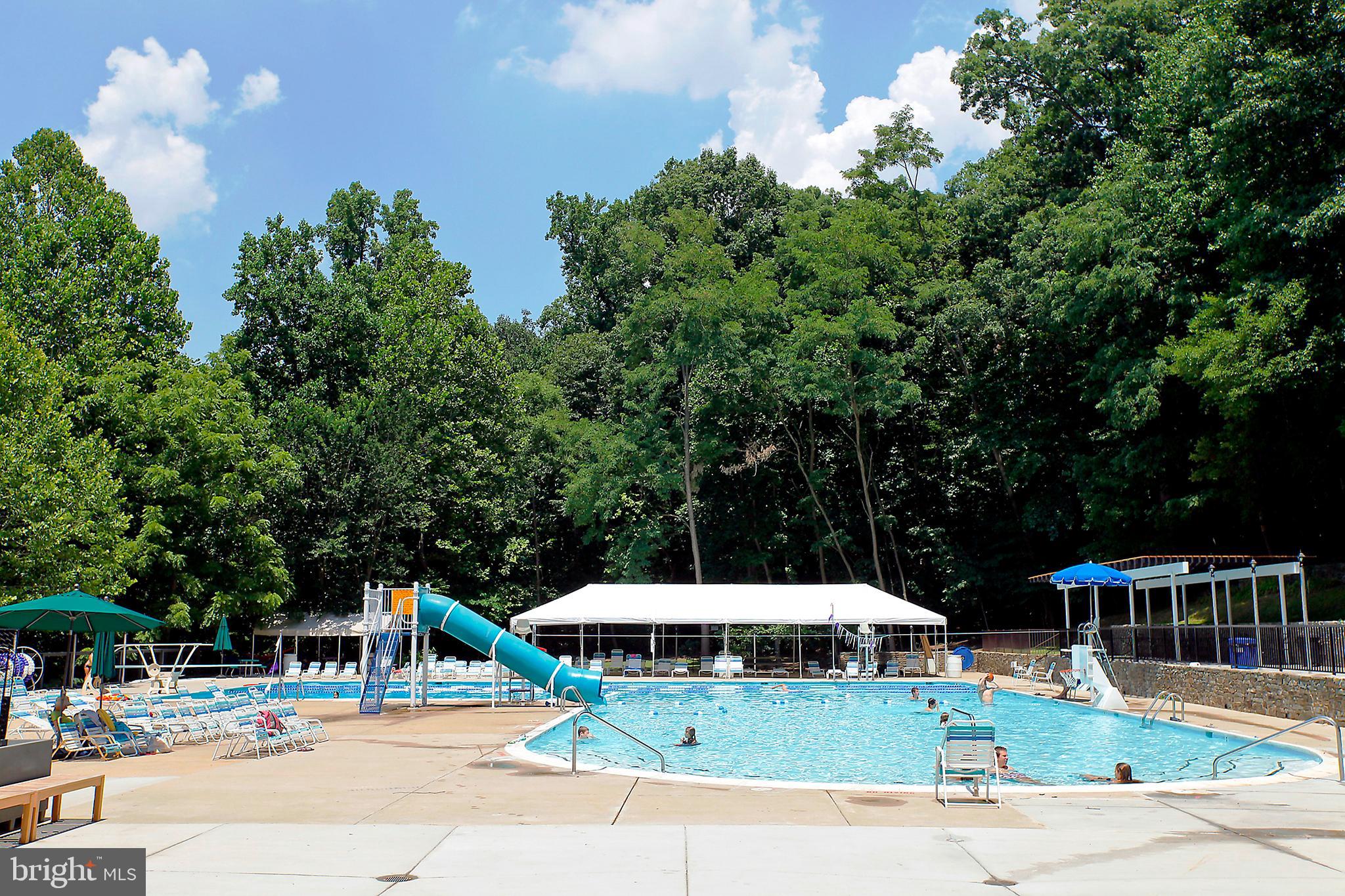 5523 Trent Street Chevy Chase, MD 20815 - Photo 41 of 42 Somerset Community Pool