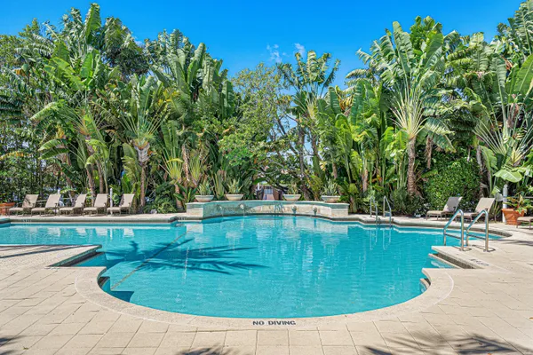 a view of a swimming pool and lounge chairs