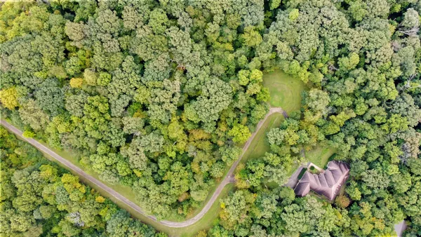 a backyard with a tree