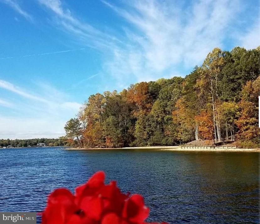 12822 Stage Coach Road Bumpass, VA 23024 - Photo 24 of 124