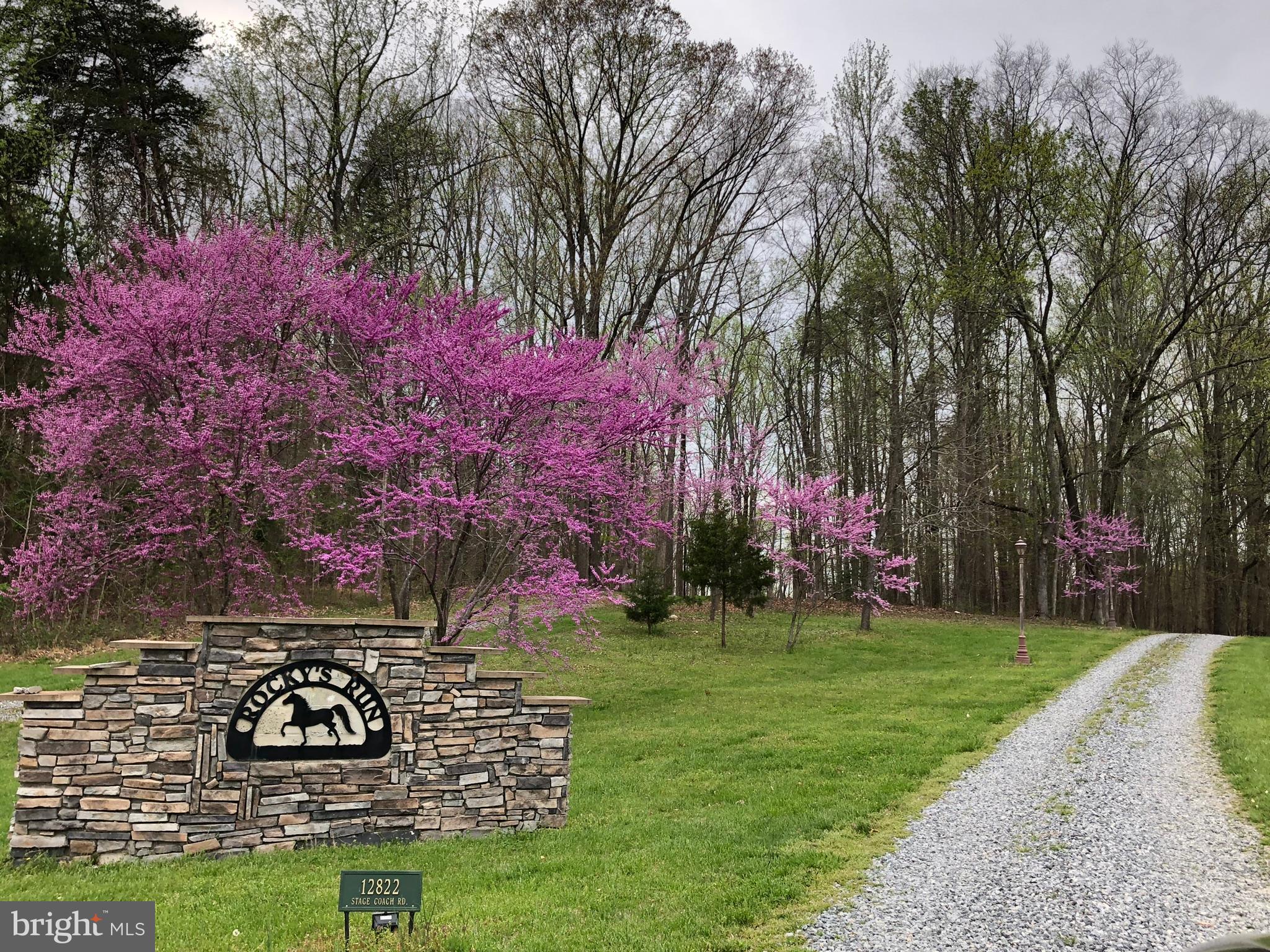 12822 Stage Coach Road Bumpass, VA 23024 - Photo 26 of 124