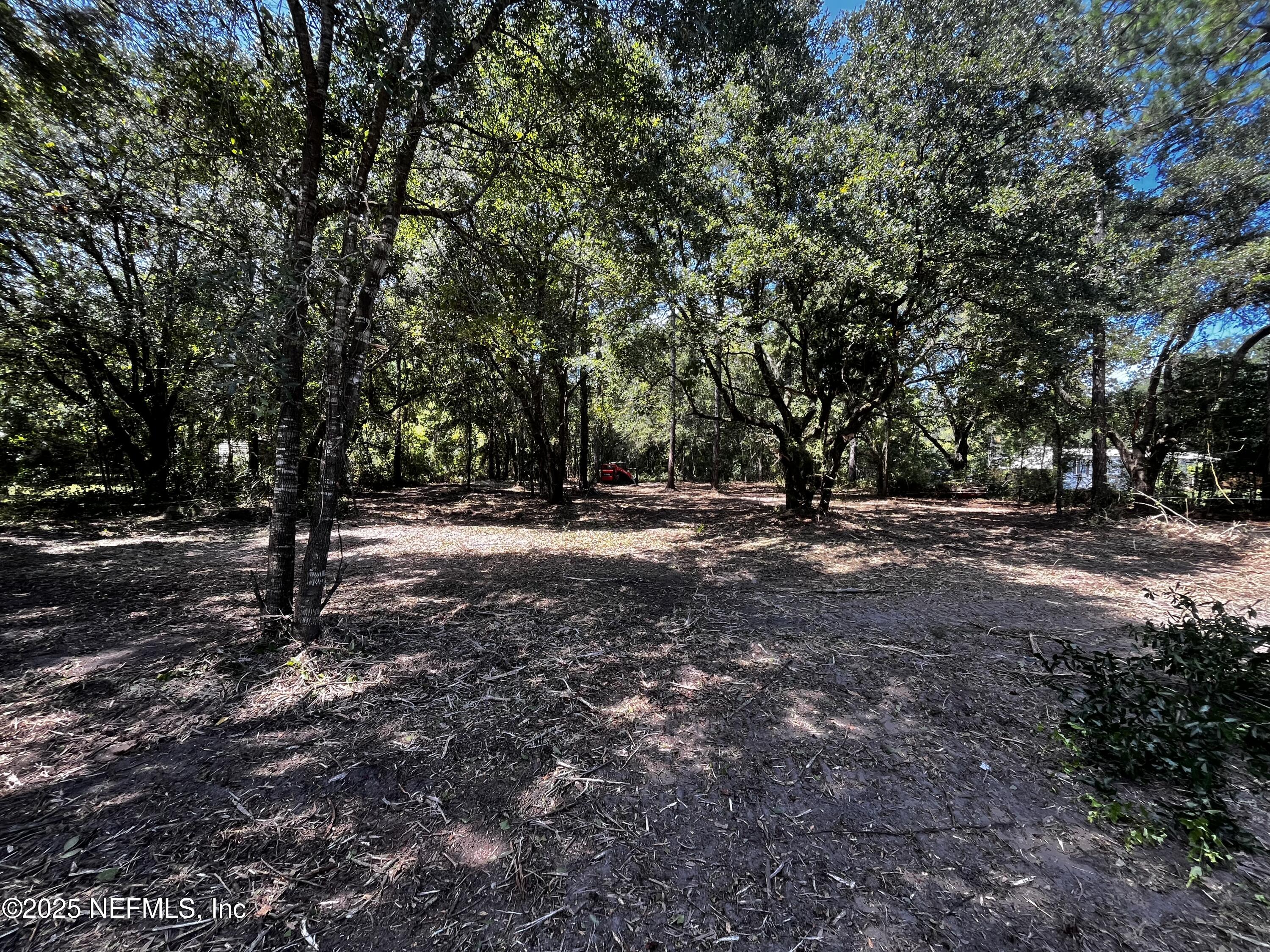 0 Chester Road Yulee, FL 32097 - Photo 10 of 12 IMG_7207