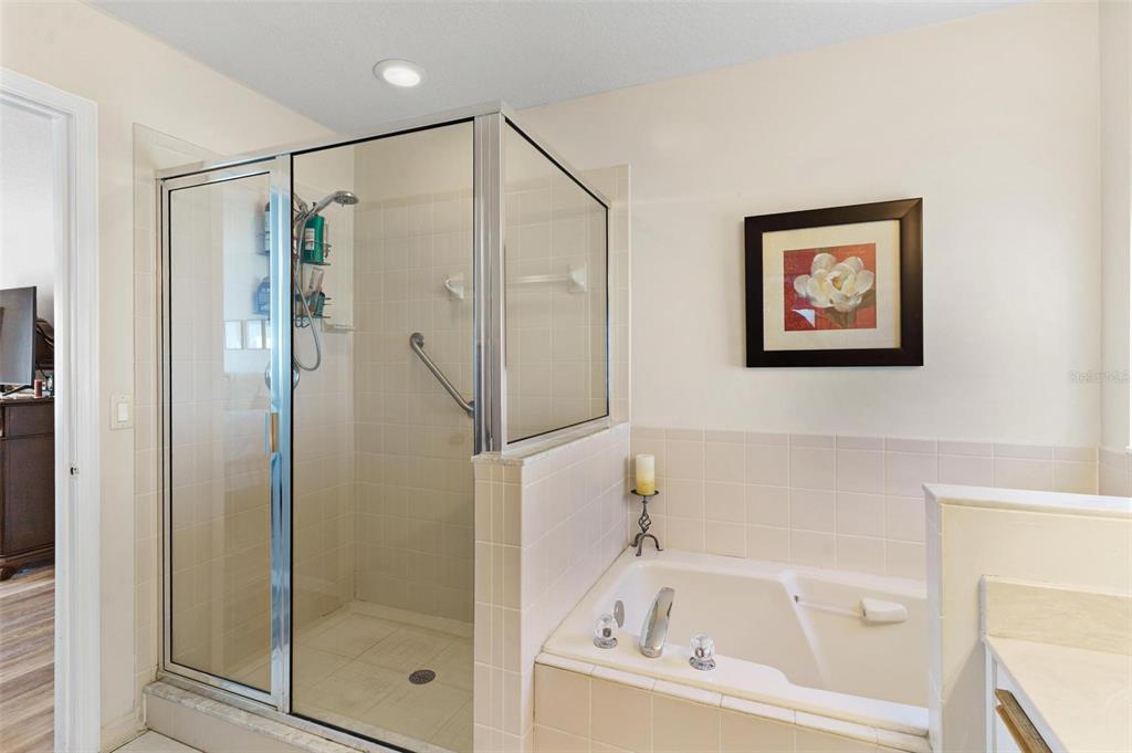 17209 Southeast 115th Terrace Road Summerfield, FL 34491 - Photo 22 of 54