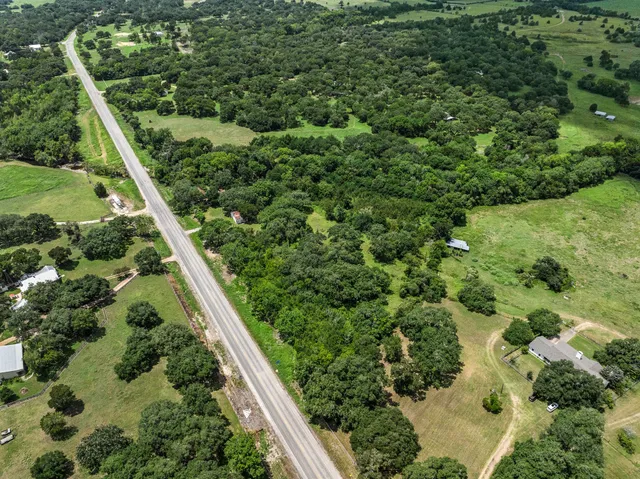 a view of a garden with plants