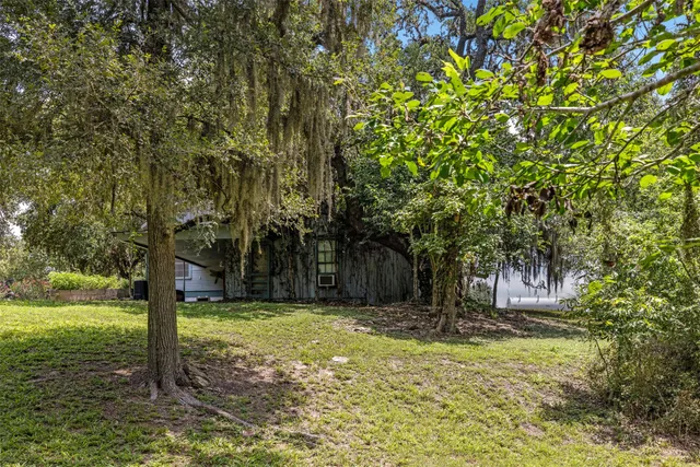 a view of a lush green forest