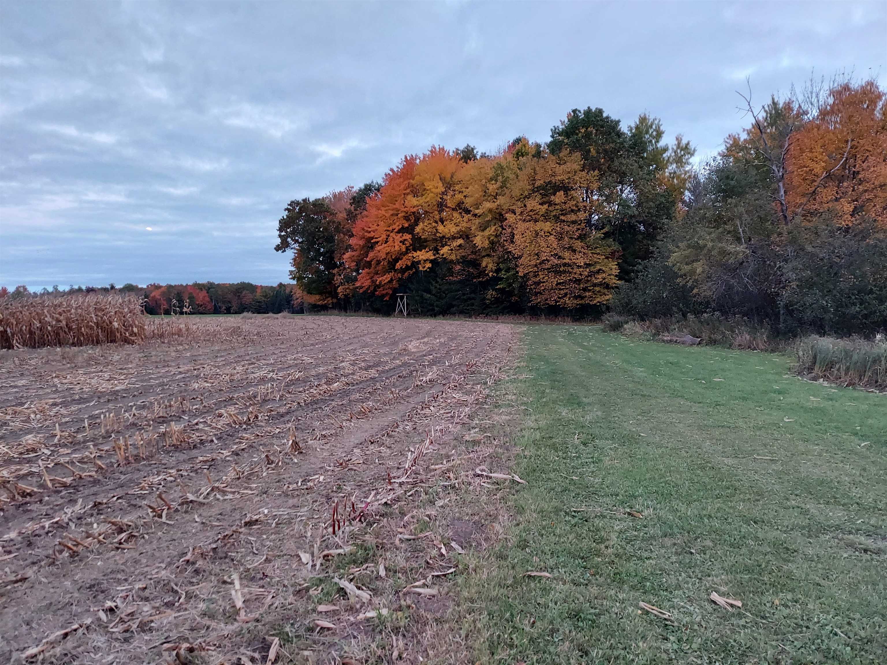 4265 Maple Rosholt, WI 54473 - Photo 1 of 6