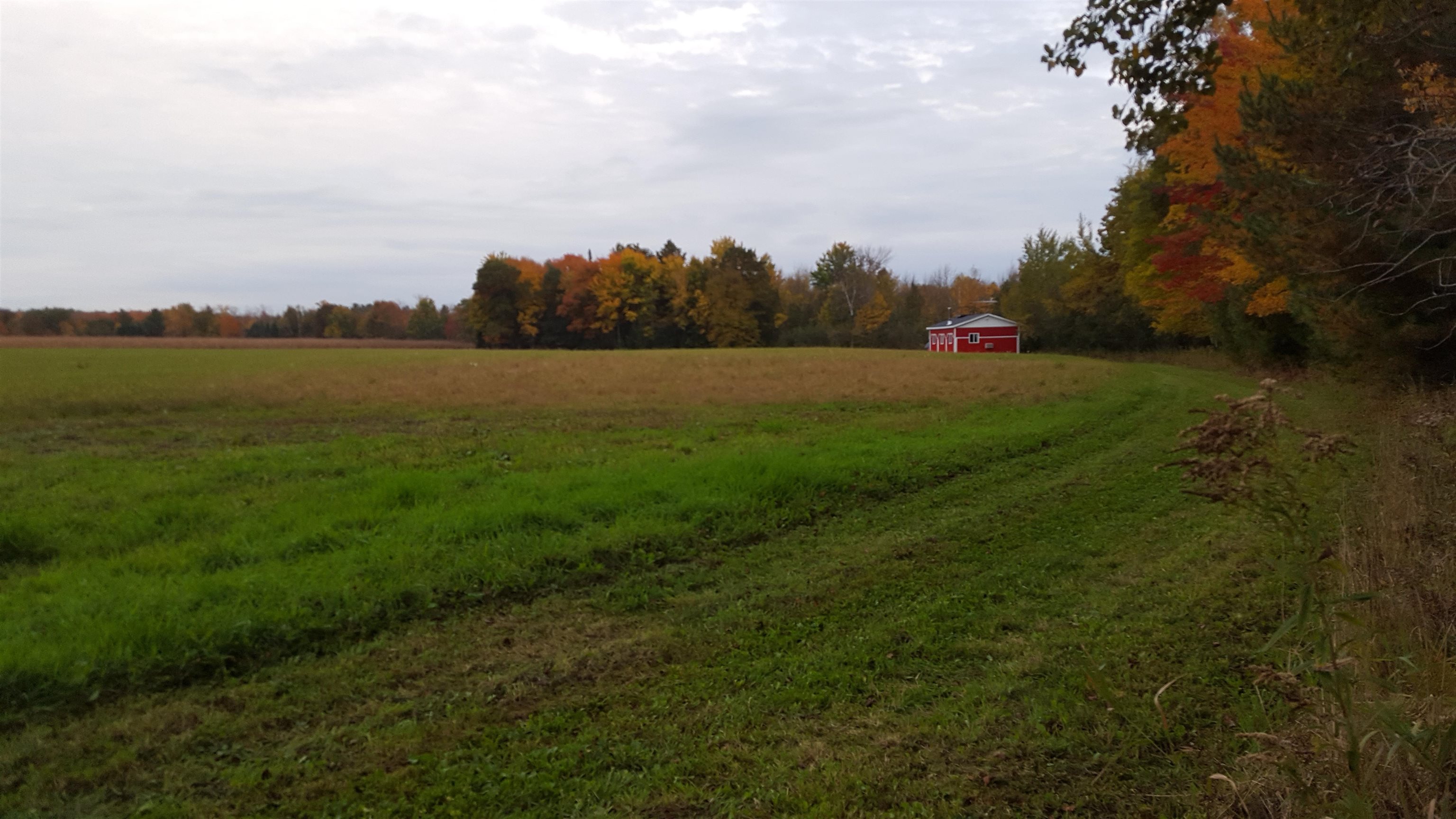 4265 Maple Rosholt, WI 54473 - Photo 2 of 6