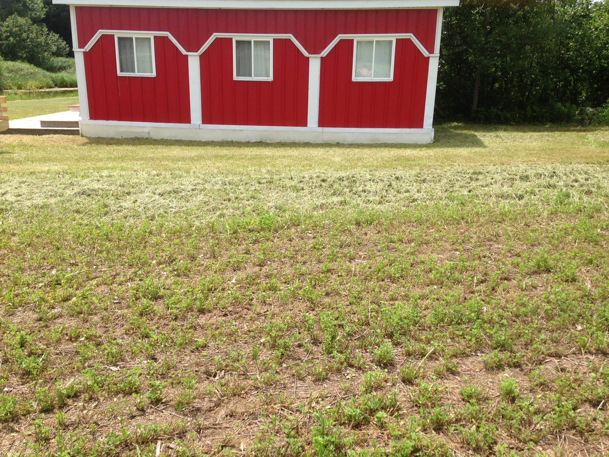 4265 Maple Rosholt, WI 54473 - Photo 3 of 6