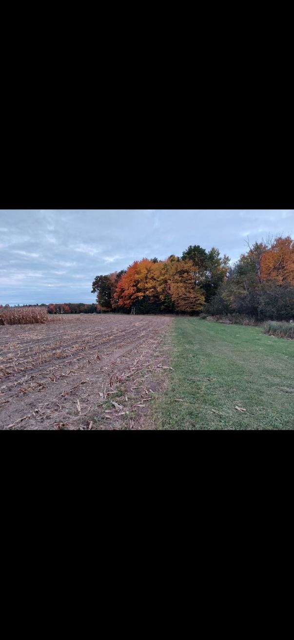 4265 Maple Rosholt, WI 54473 - Photo 5 of 6