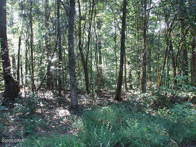 2835 Beall Packing Road Bonifay, FL 32425 - Photo 29 of 48 Gallery Image 29