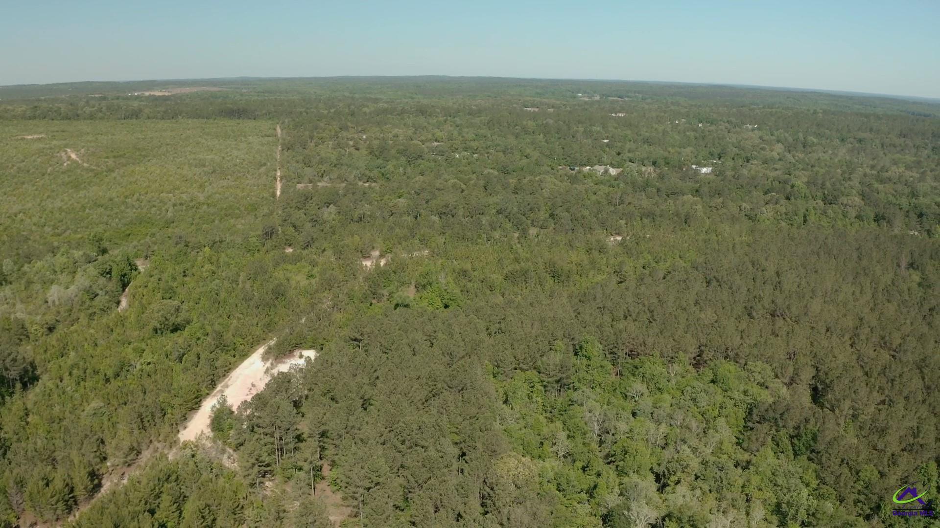 Carl Sutton Road Lizella, GA 31052 - Photo 14 of 23