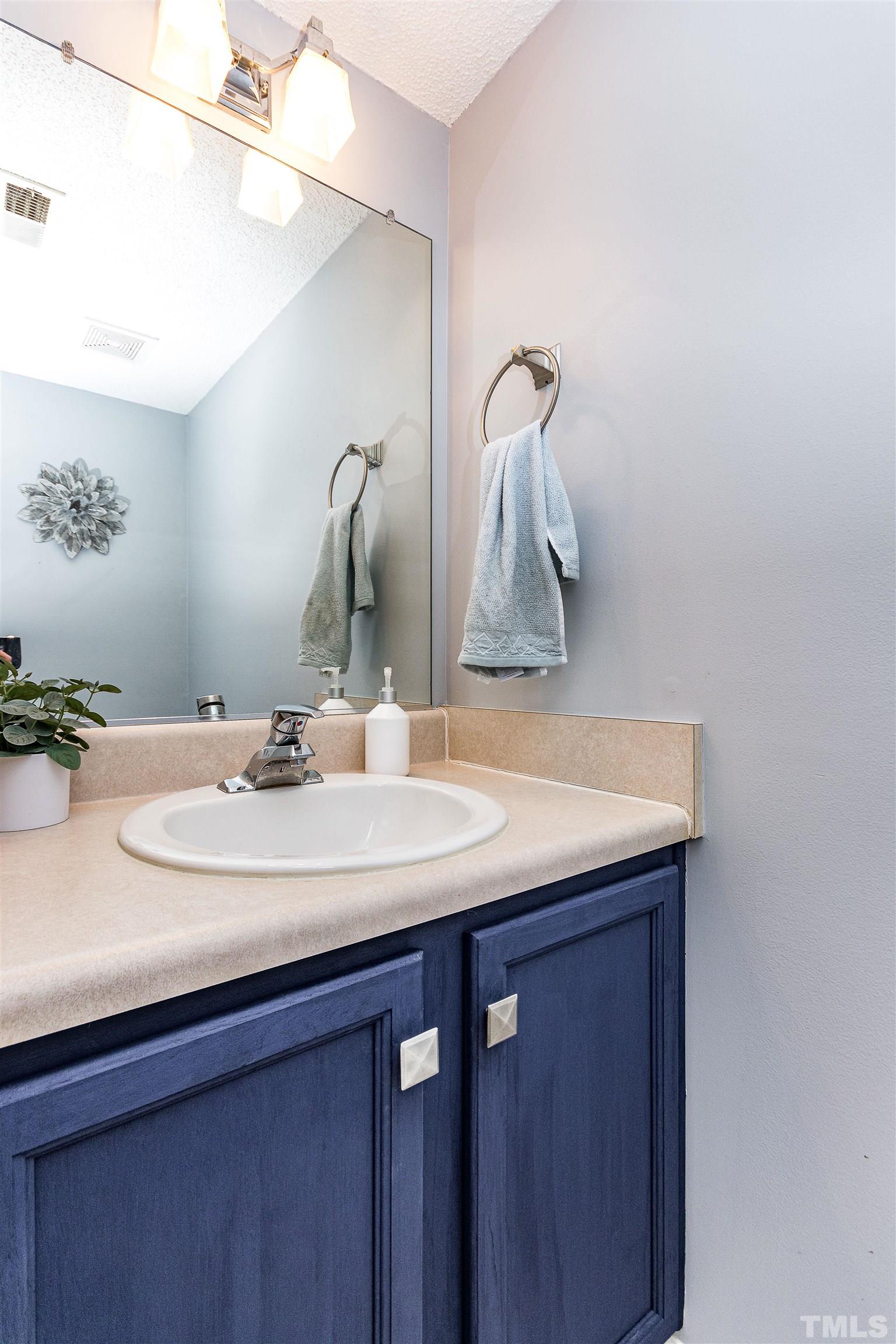 4924 Mocha Lane Raleigh, NC 27616 - Photo 10 of 16 a bathroom with a sink and a mirror