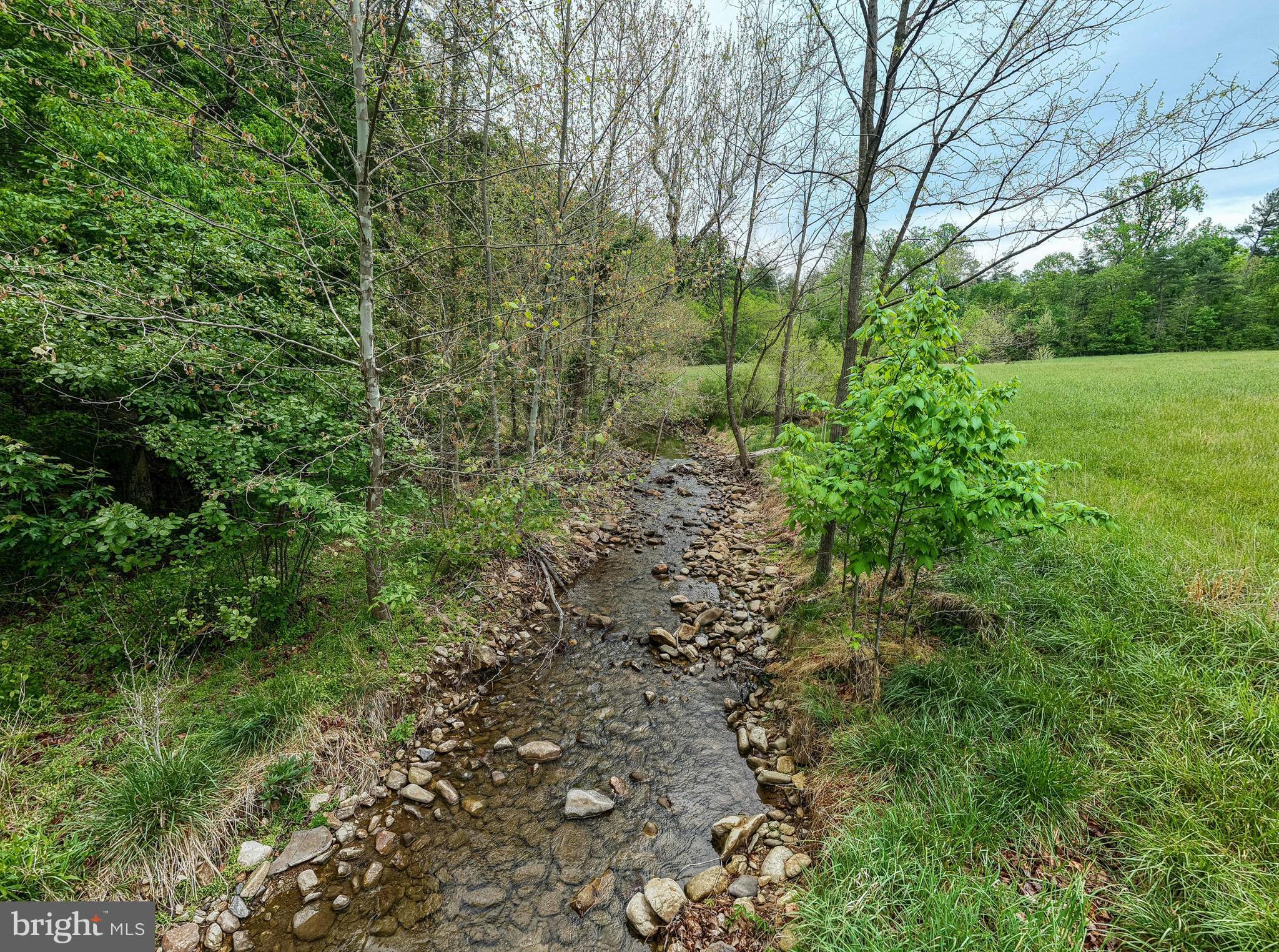 2645 Dry Run Road Luray, VA 22835 - Photo 4 of 81