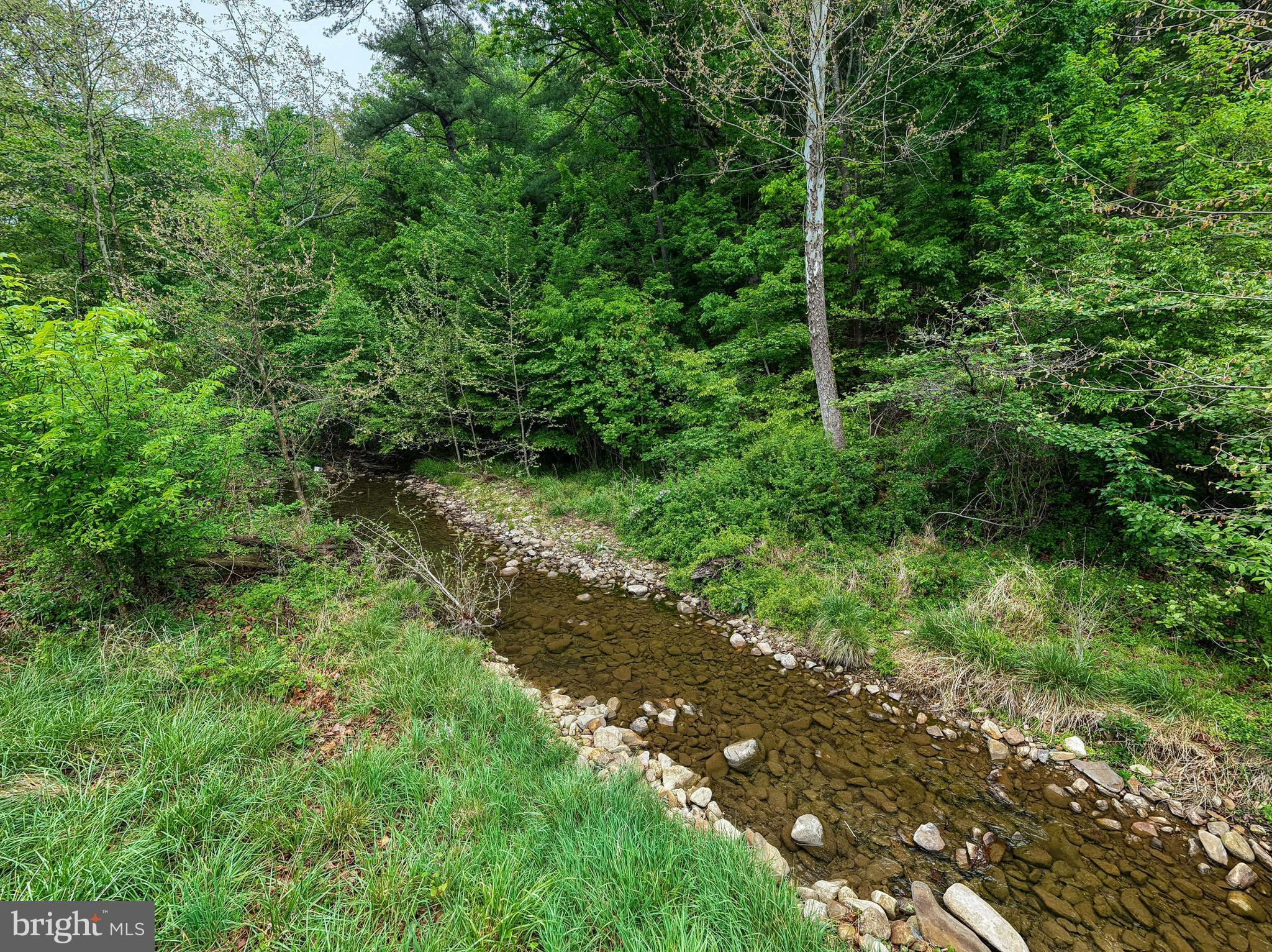 2645 Dry Run Road Luray, VA 22835 - Photo 68 of 81
