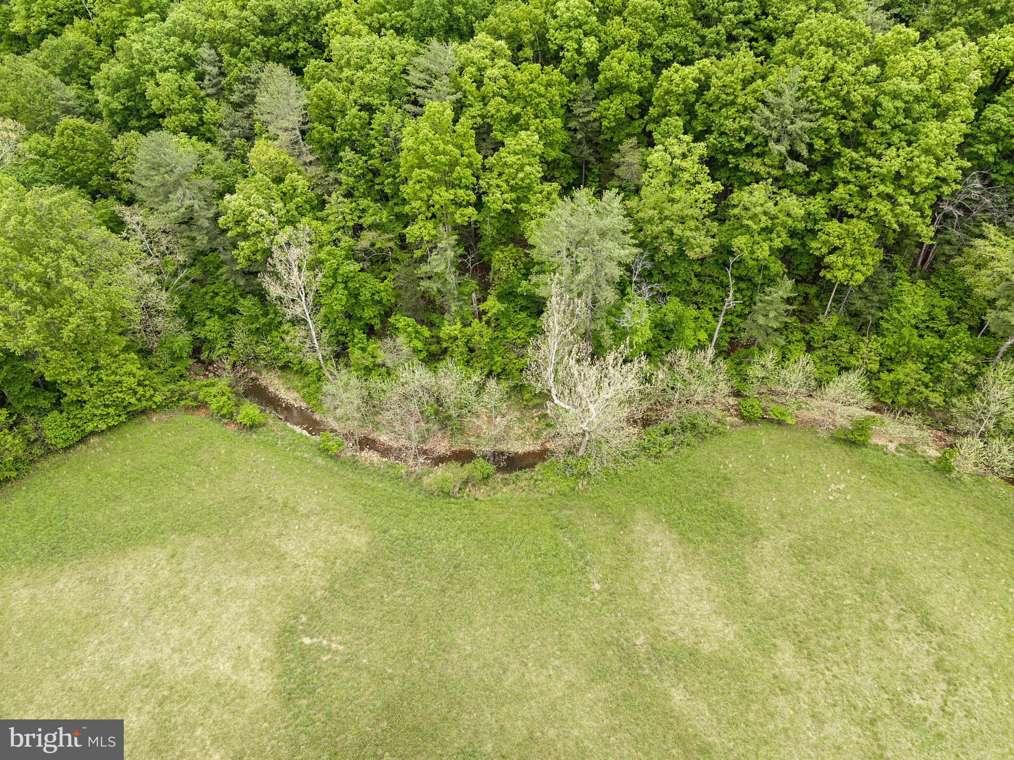2645 Dry Run Road Luray, VA 22835 - Photo 70 of 81