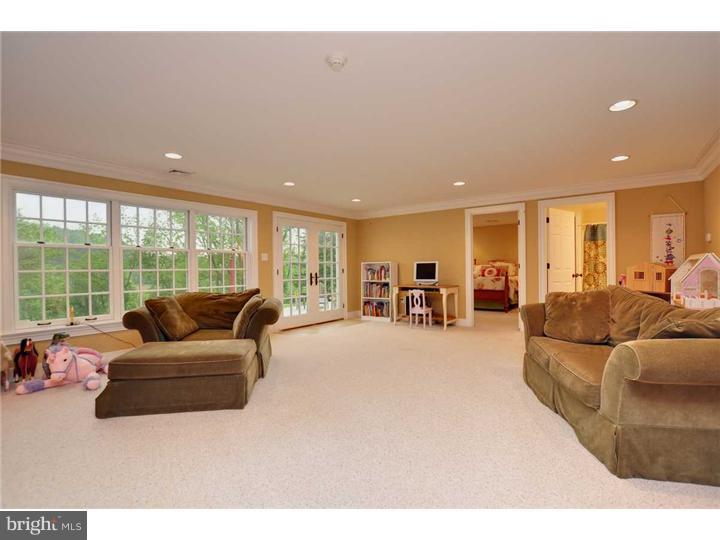 342 Reading Furnace Road Elverson, PA 19520 - Photo 9 of 16 Basement - Finished