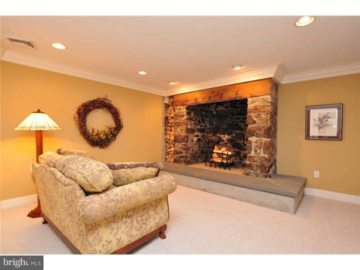 342 Reading Furnace Road Elverson, PA 19520 - Photo 10 of 16 Basement - Finished