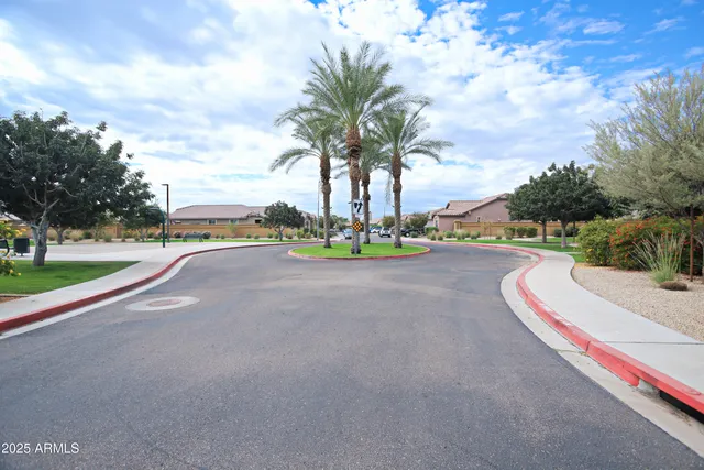 a view of a park with plants and trees