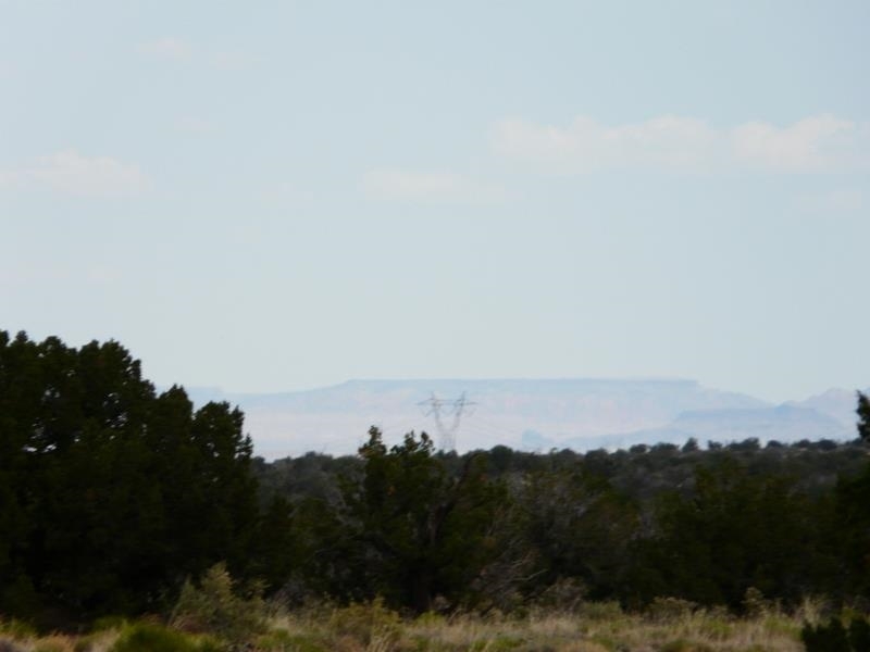 Lot 266 Chevlon Canyon Ranch Heber, AZ 85928 - Photo 1 of 12
