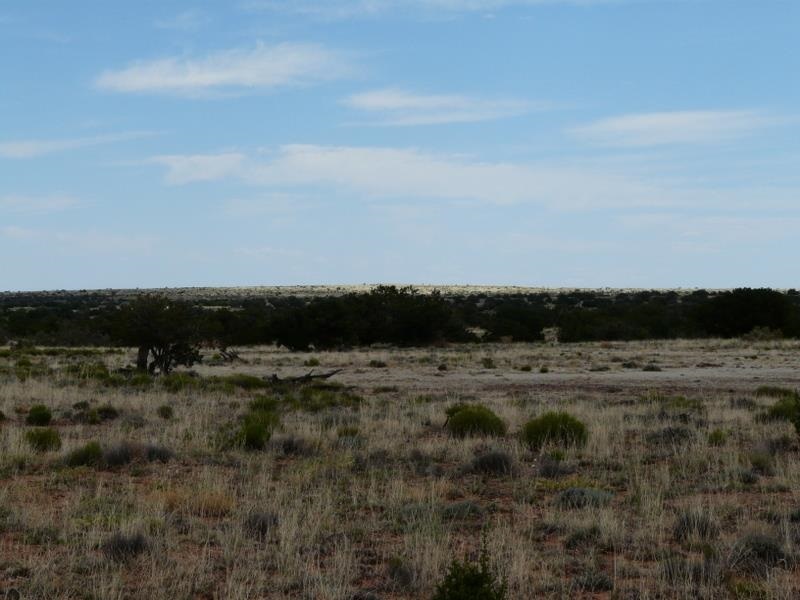 Lot 266 Chevlon Canyon Ranch Heber, AZ 85928 - Photo 3 of 12