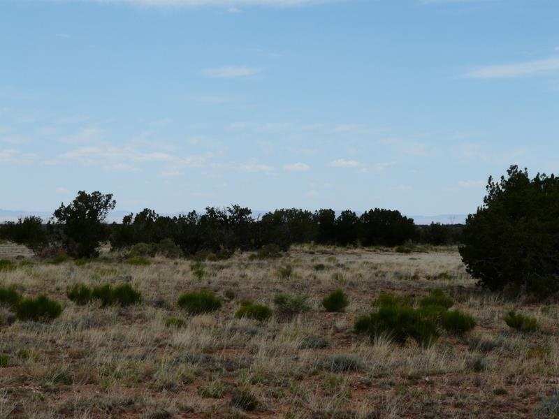 Lot 266 Chevlon Canyon Ranch Heber, AZ 85928 - Photo 5 of 12