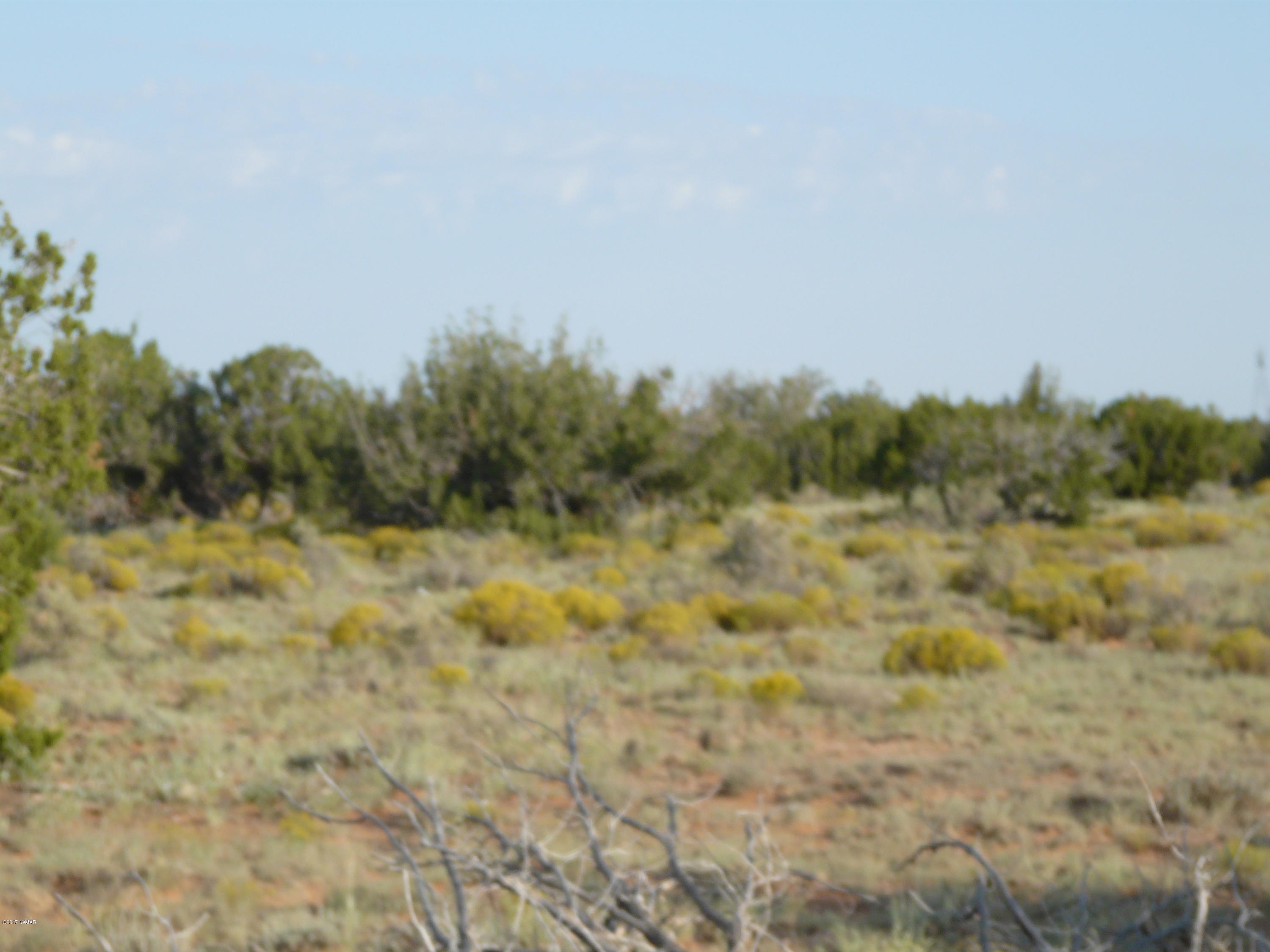 Lot 266 Chevlon Canyon Ranch Heber, AZ 85928 - Photo 8 of 12