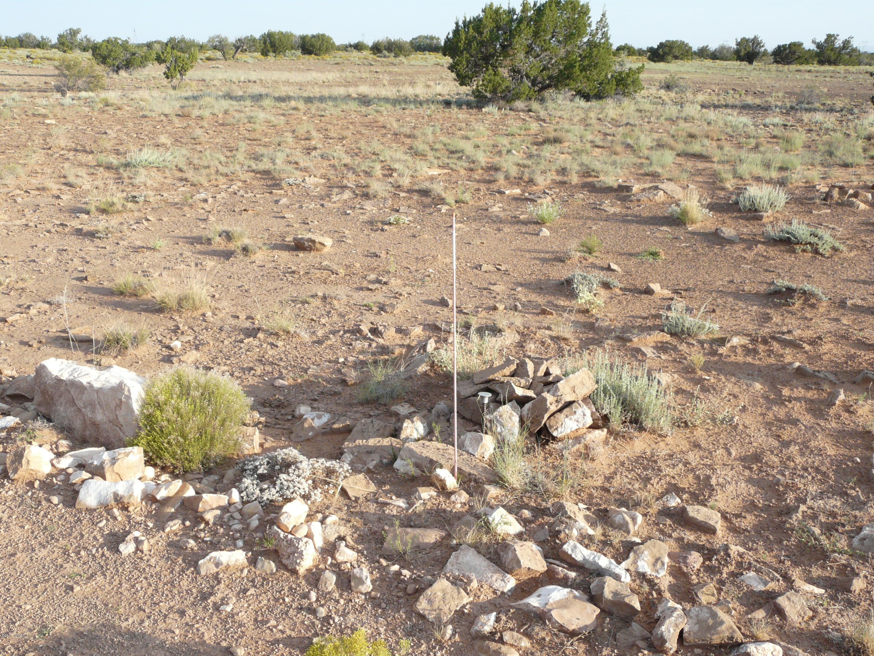 Lot 266 Chevlon Canyon Ranch Heber, AZ 85928 - Photo 10 of 12
