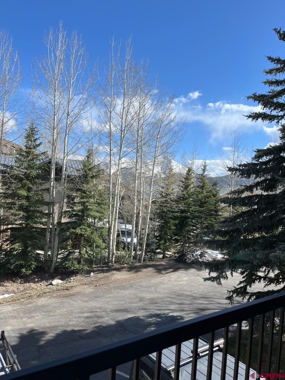 17 Castle Road, Unit 3 Crested Butte, CO 81225 - Photo 32 of 32