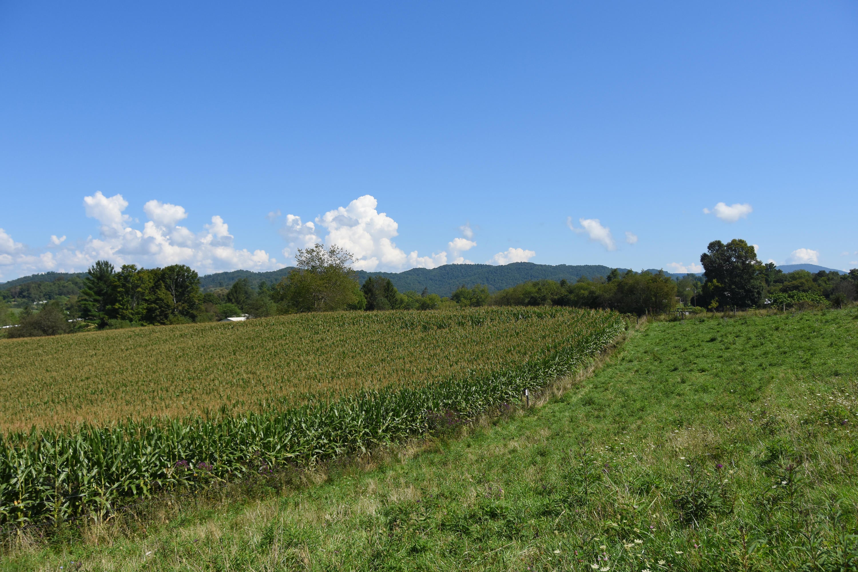 4709 Spring Creek Station Road Renick, WV 24966 - Photo 16 of 77 Gallery Image 16