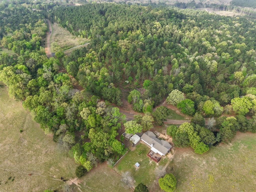 571 County Road Daingerfield, TX 75638 - Photo 6 of 34 Gallery Image 6