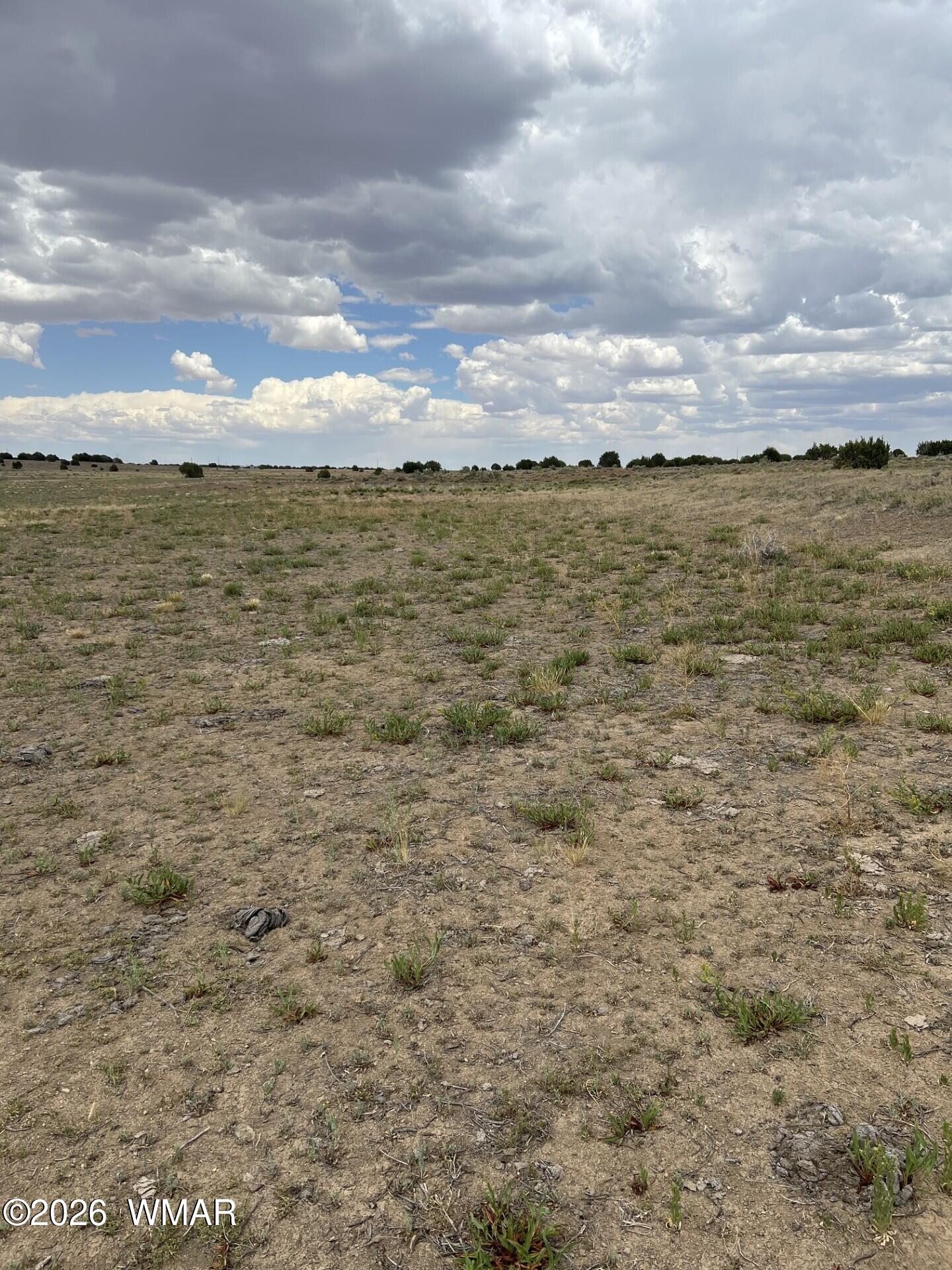 Tbd 8206 Concho, AZ 85924 - Photo 10 of 12