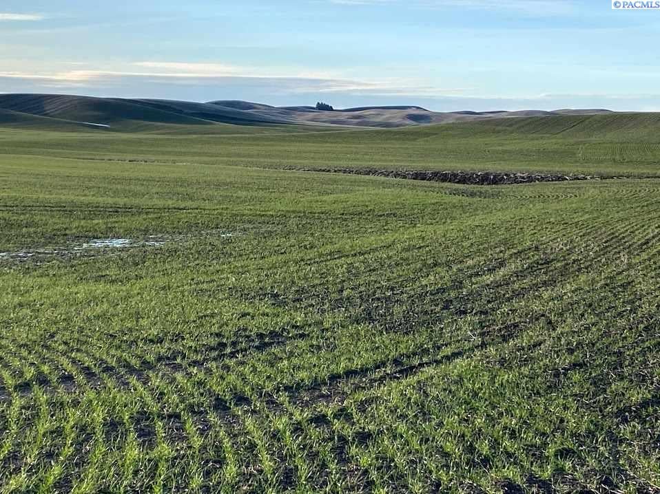 Tbd South Palouse River Road Colfax, WA 99111 - Photo 1 of 1 Gallery Image 1