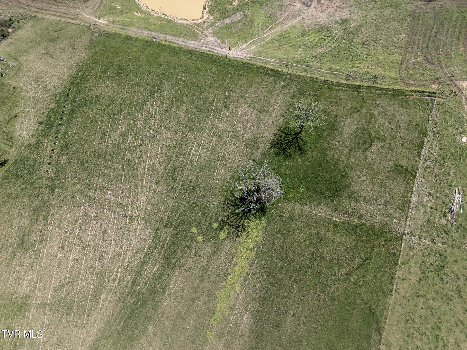 5-ac Quaker Knob Road Chuckey, TN 37641 - Photo 11 of 31 QuakerKnobC_028