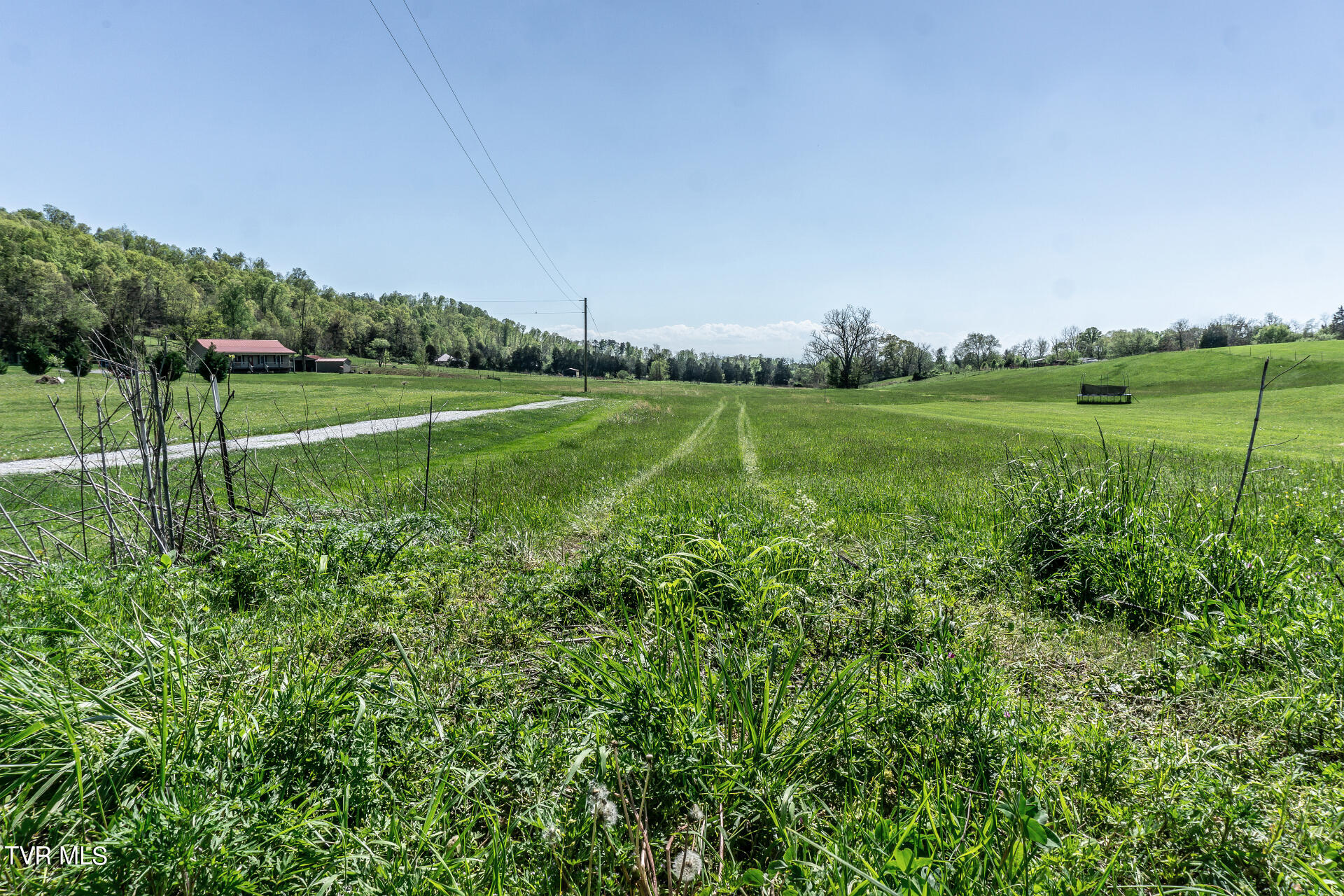 5-ac Quaker Knob Road Chuckey, TN 37641 - Photo 14 of 31 QuakerKnobC_005
